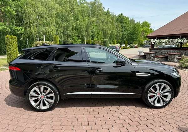 Jaguar F-Pace cena 149900 przebieg: 55000, rok produkcji 2016 z Górzno małe 781